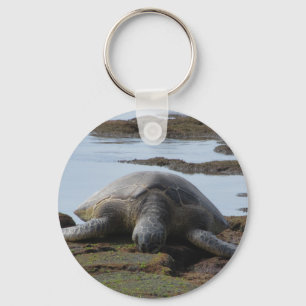 Turtle Resting On The Rocks Keychain