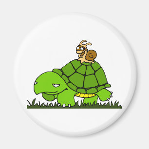Turtle ride magnet