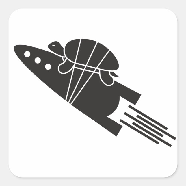 turtle riding a rocket  🐢  🚀 square sticker (Front)