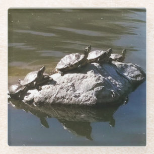 Turtle Rock Glass Coaster