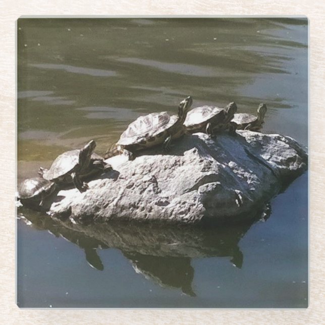 Turtle Rock Glass Coaster (Front)