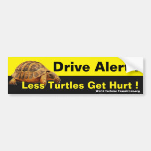 Turtle Safety Bumpersticker Bumper Sticker