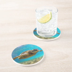 Turtle Sandstone Coaster 