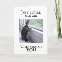  TURTLE SAYS "I MISS YOU" CARD