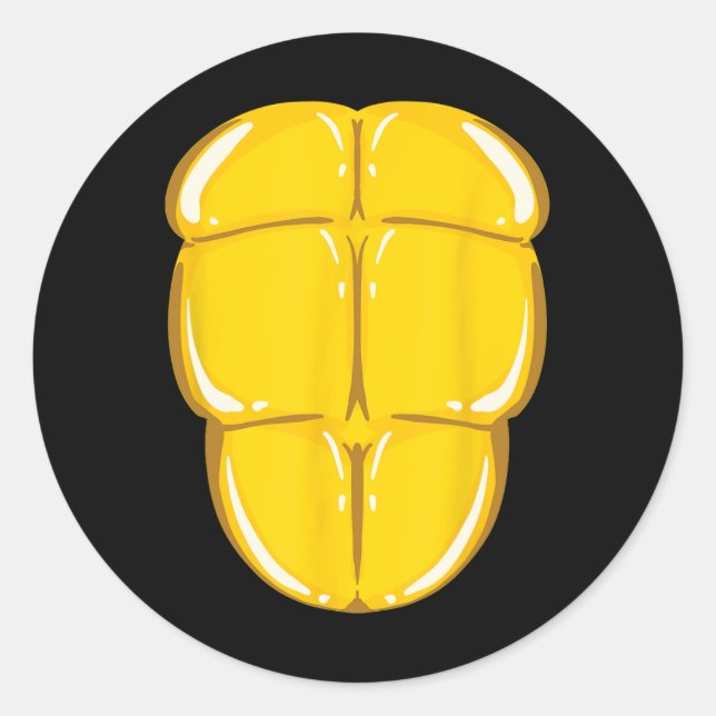 Turtle Shell Cute Tortoise Costume Funny Halloween Classic Round Sticker (Front)