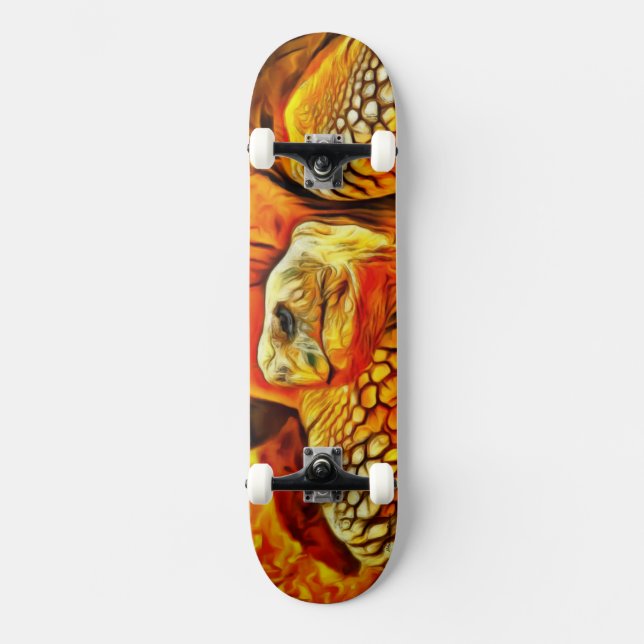 Turtle Skateboard (Front)