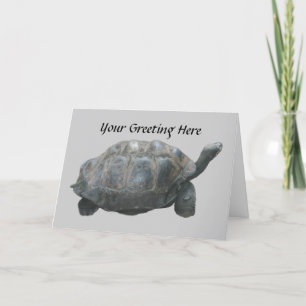 Turtle Slow Down Greeting Card