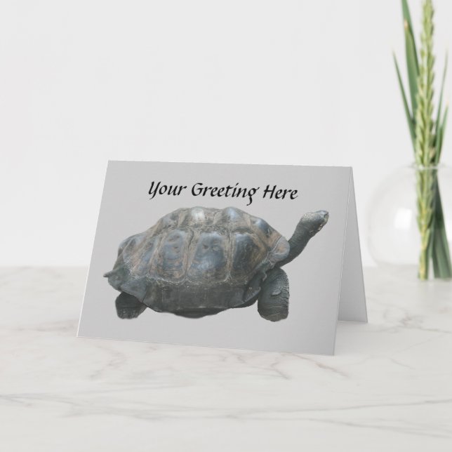 Turtle Slow Down Greeting Card (Front)