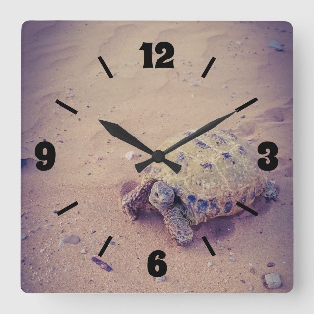 turtle square wall clock (Front)