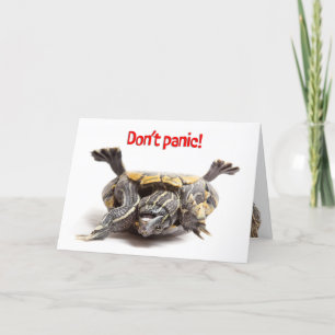 Turtle Stuck on Back Here For You Encouragement Holiday Card