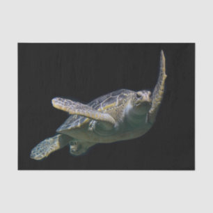 Turtle Swimming Sea Photo Tissue Paper