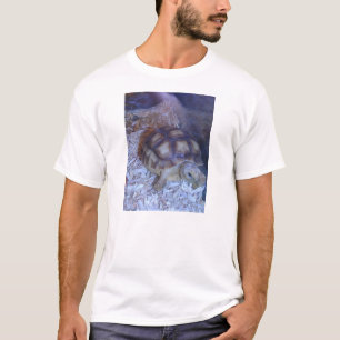 Turtle T-Shirt