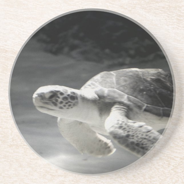 Turtle Table Home Decor Coaster (Front)