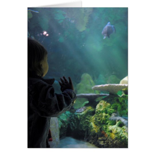 Turtle Tank Viewer Card