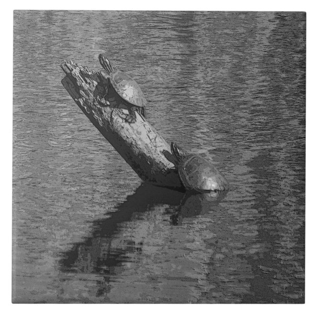 Turtle Time Times Two Ink 6x6 Ceramic Tile by Janz (Front)