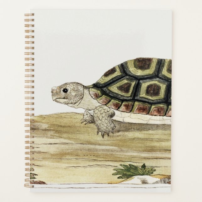 Turtle & Tortoise Harmony: Post-it Notes Jigsaw Planner (Front)