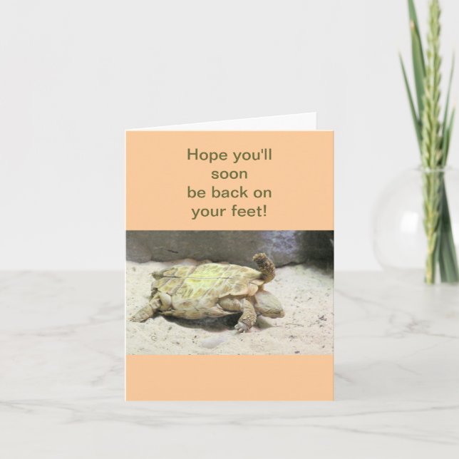 "TURTLE TOURNÉ SUR SON DOS" OBTENEZ LA CARTE DE BI (Devant)