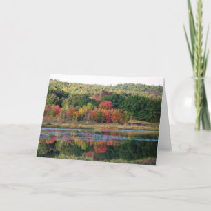 Turtle Town Pond Card