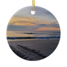 Turtle Tracks at Sunrise