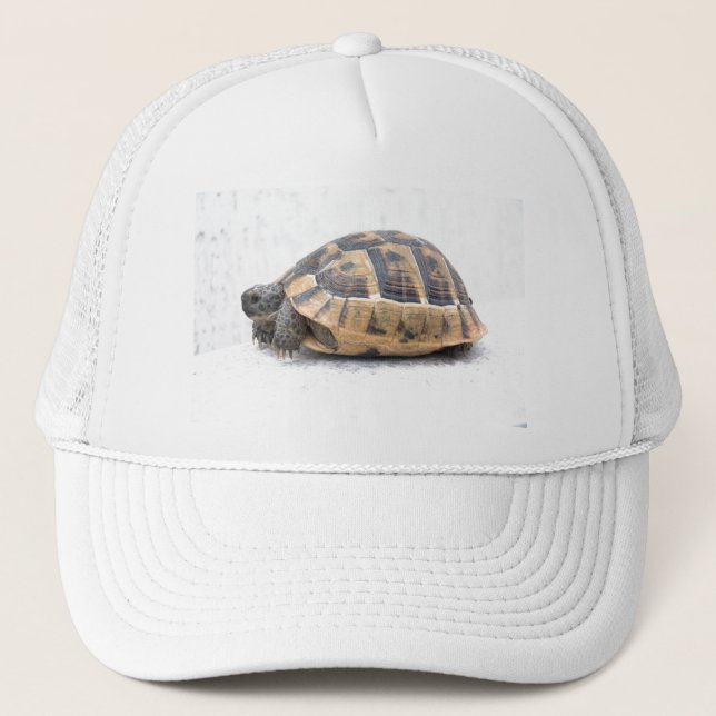 Turtle Trucker Hat (Front)