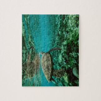 Turtle underwater world ocean jigsaw puzzle