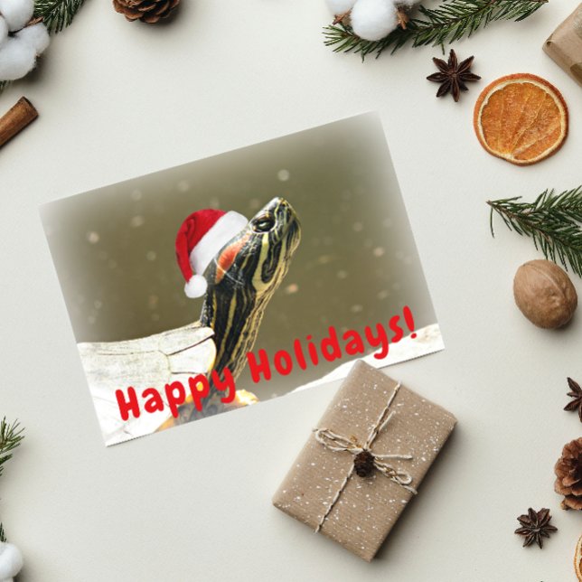 Turtle Wearing Red Santa Cap Funny Holiday Card (In Situ)