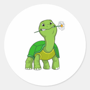 Turtle with Flower Daisy Classic Round Sticker