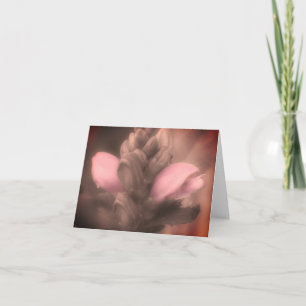 Turtlehead Flower Black And White Note Card
