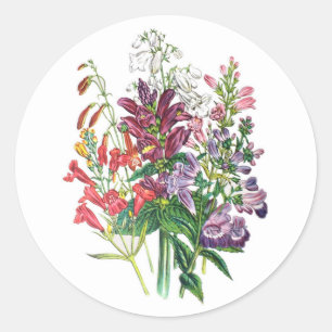 Turtleheads and Beardtongues Classic Round Sticker