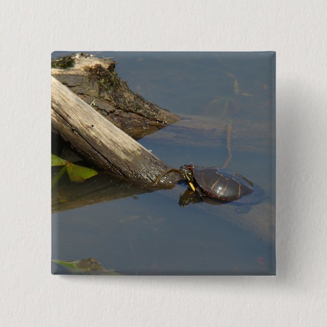 Turtle's Day Off 2 Inch Square Button (Front)