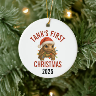 Turtle's First Christmas 2025 Ceramic Ornament