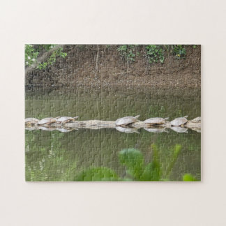 Turtles in a Row Jigsaw Puzzle