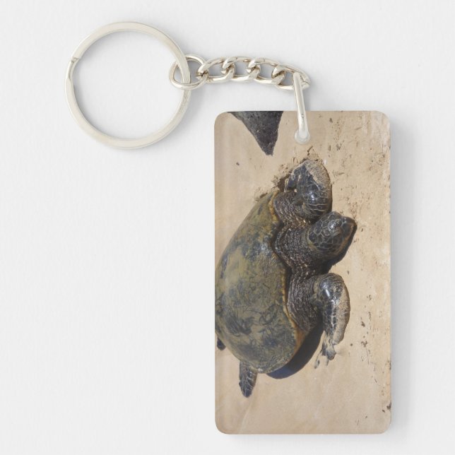 Turtles Keychain (Front)