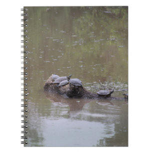 Turtles Notebook
