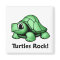 Turtles Rock!