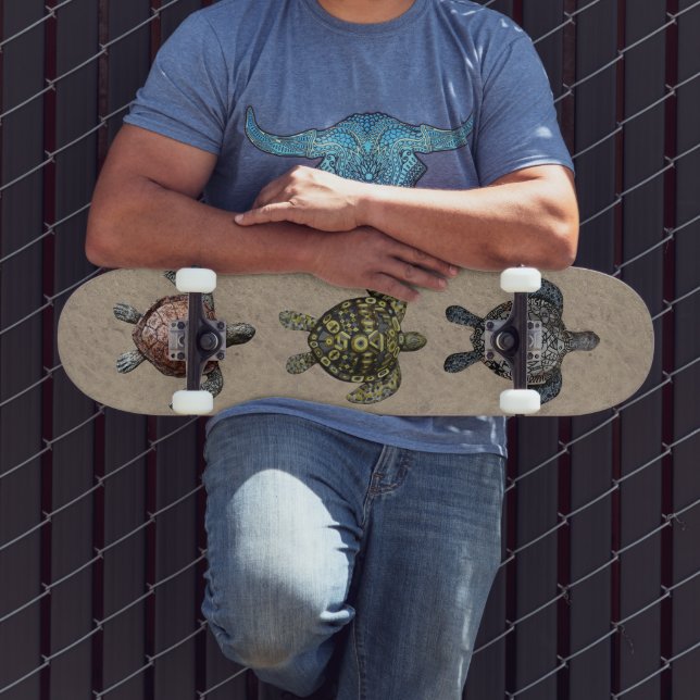 Turtles Skateboard (Outdoor 3)