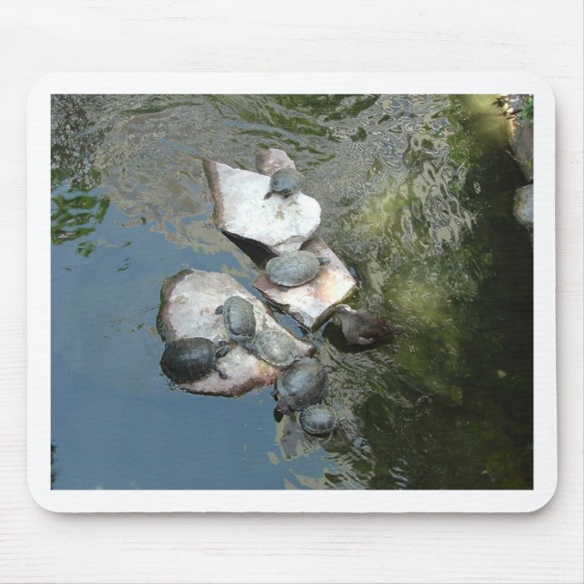 Turtles/Tortoises Mouse Pad (Front)