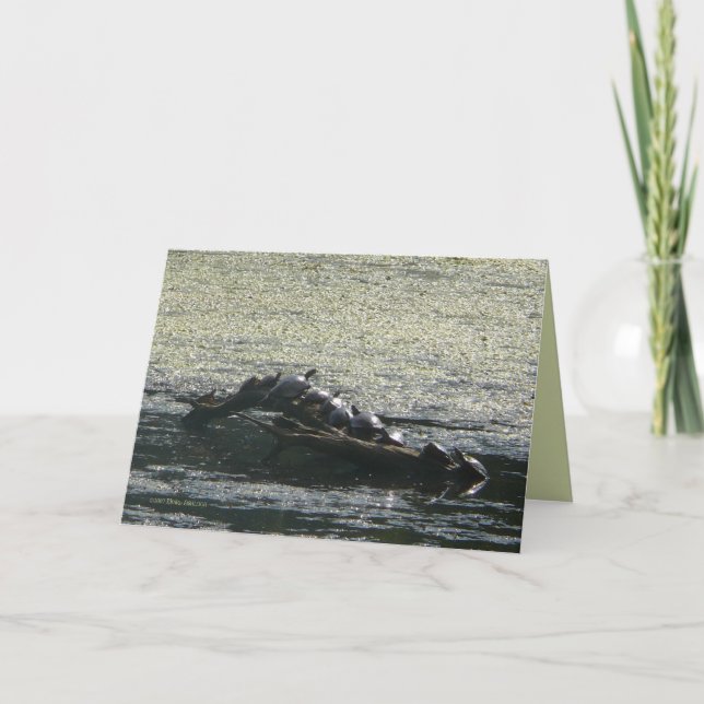 Turtles Turn Card (Front)