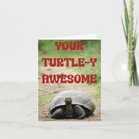 Turtley Awesome Birthday Wishes for a Slow-Mo Star