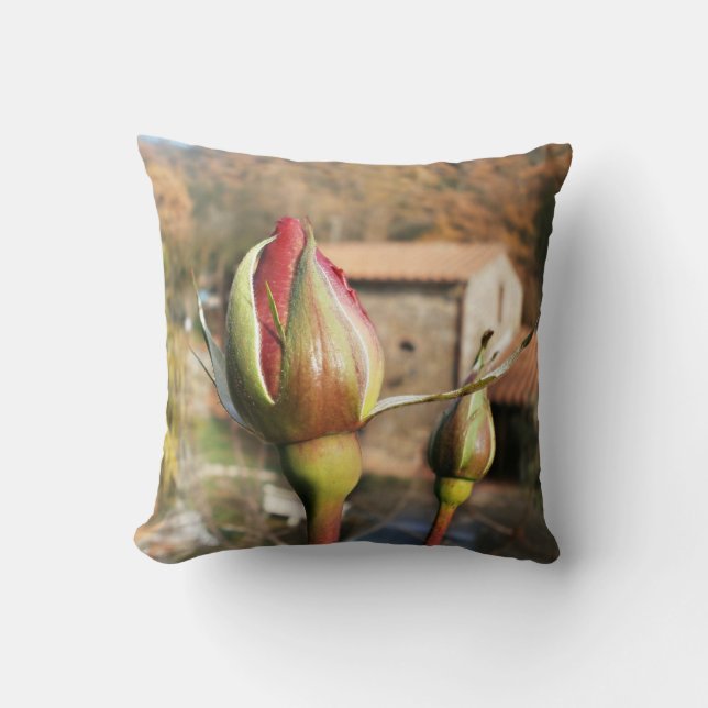Tuscan autumn rose. Tuscany. Throw Pillow (Front)