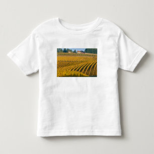Tuscan-looking Black Walnut Inn above the Toddler T-shirt