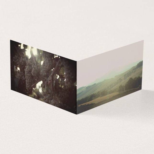 Tuscan Wine Tasting (Outside)