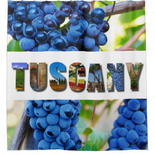 Tuscany Italian Vineyard Tuscan Travel Photos