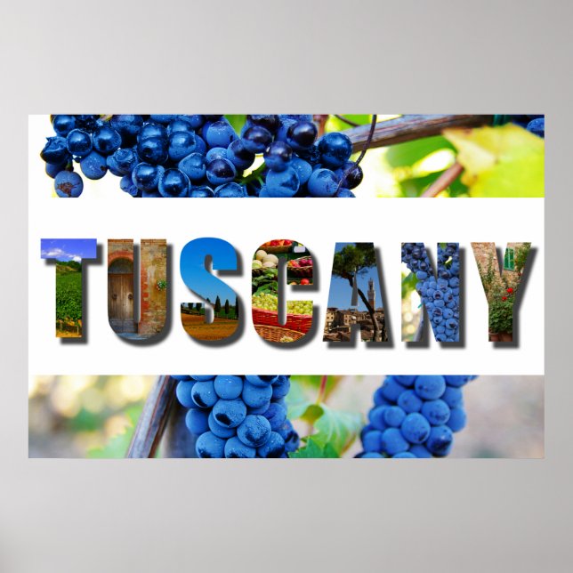 Tuscany Italy Italian Vineyard Travel Photos Poster (Front)