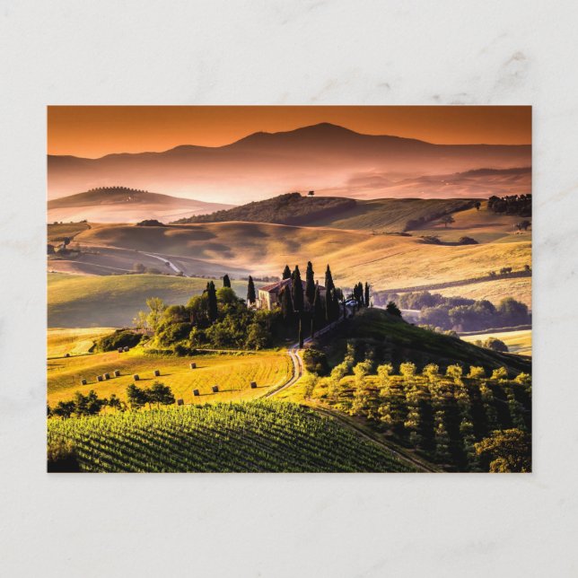 Tuscany, Italy landscape photograph Postcard (Front)