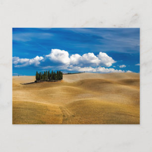 Tuscany (Italy) Plains Landscape  Postcard