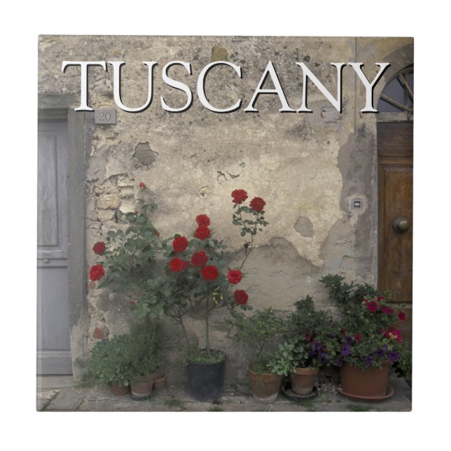 Tuscany, Italy | Tuscan Doorway Tile (Front)