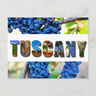Tuscany Italy Tuscan Vineyard Travel Photos Postcard