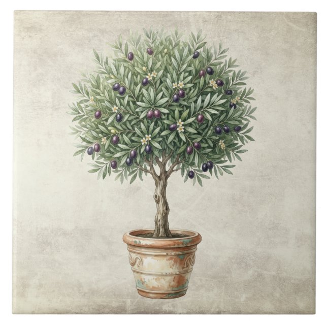 Tuscany Olive Topiary Mediterranean  Tile (Front)