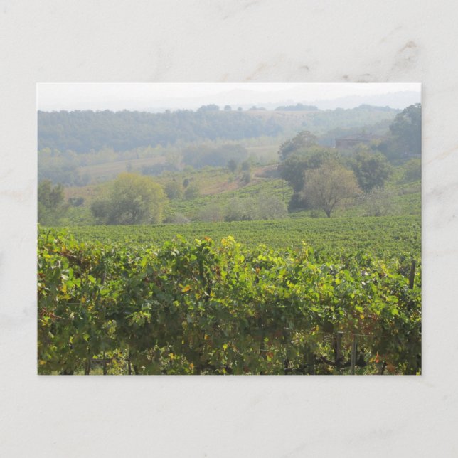 Tuscany Postcard (Front)